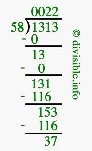 1313 divided by 58 using long division