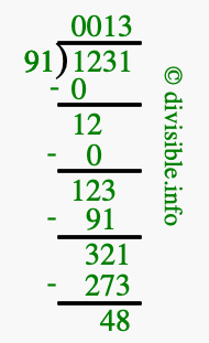 1231 divided by 91 using long division