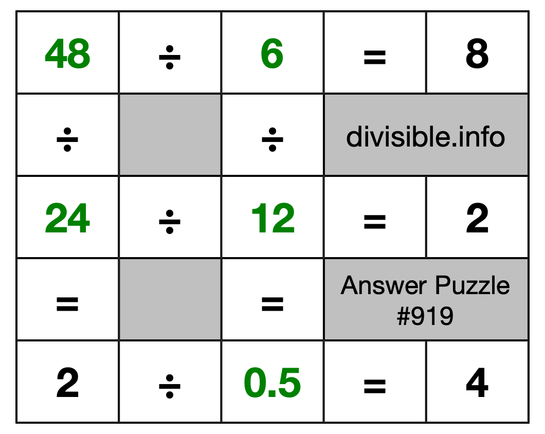 Solution to Division Puzzle #919